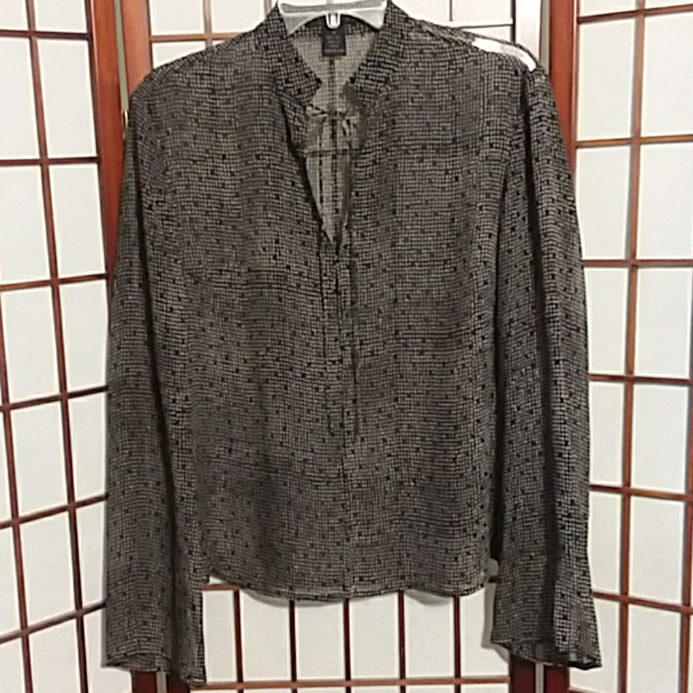 Limited sheer silk blouse